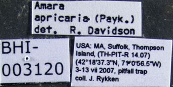 Media type: image;   Entomology 614255 Aspect: labels